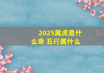 2025属虎是什么命 五行属什么